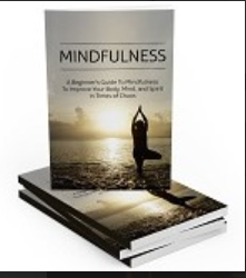Mindfulness: A Beginner's Guide to Improve Your Body, Mind & Spirit in Times of Chaos